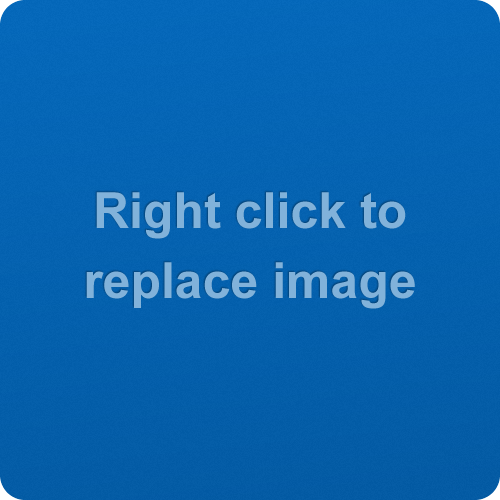 Council Members Meeting