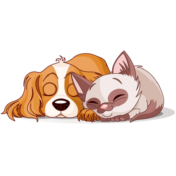 2698bfc861235f13ef276c7e7006b221