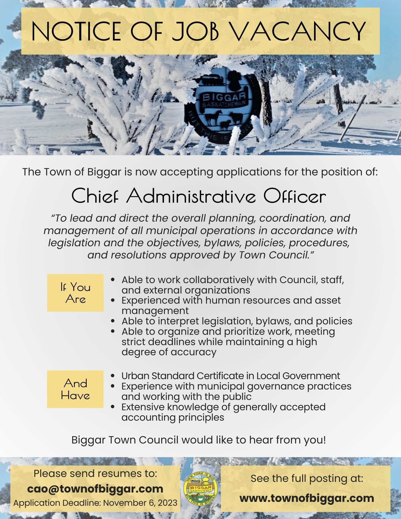 Chief Administrative Officer Ad (002)